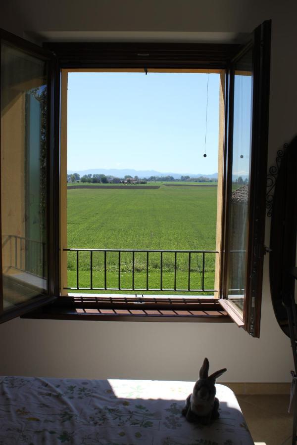 La Casa Dei Gatti Bed & Breakfast Soragna Exterior photo