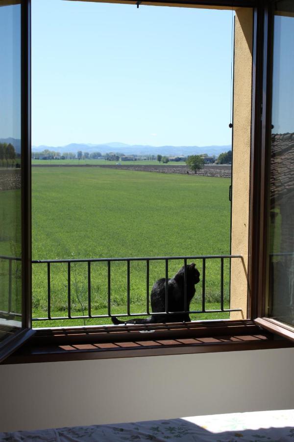 La Casa Dei Gatti Bed & Breakfast Soragna Exterior photo