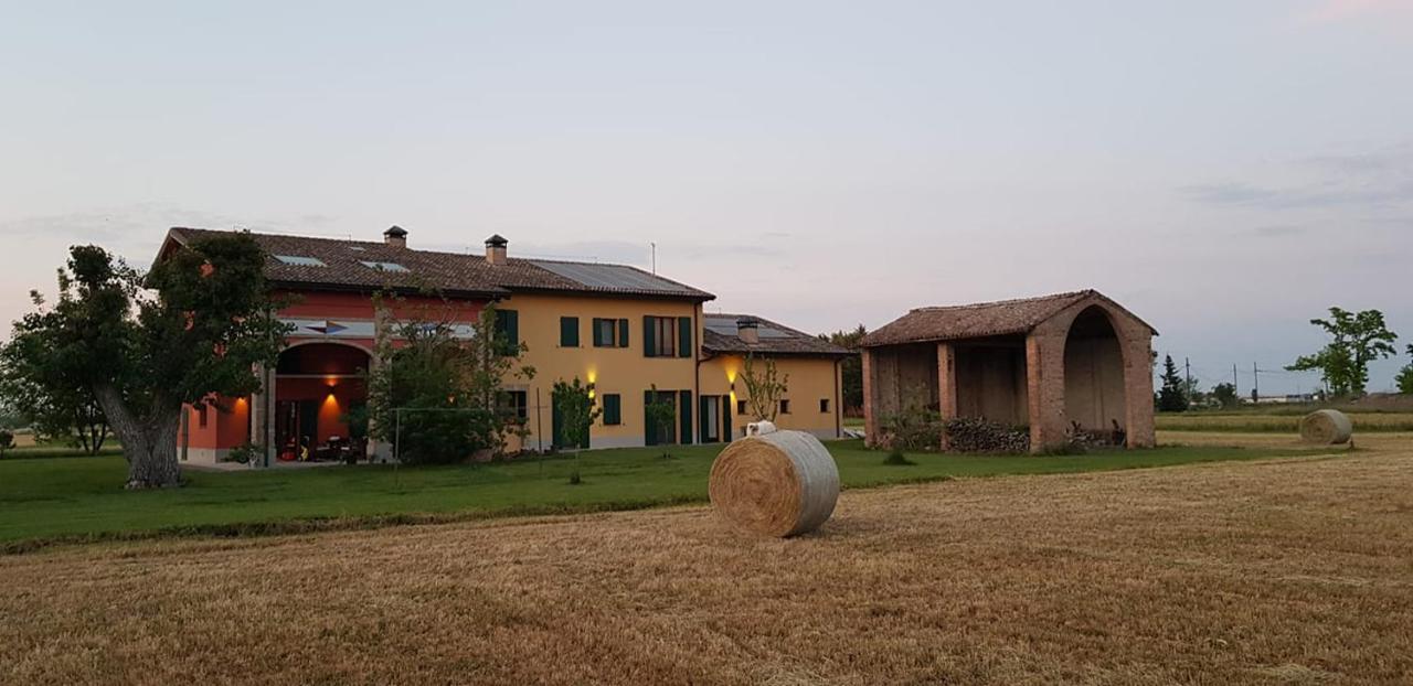 La Casa Dei Gatti Bed & Breakfast Soragna Exterior photo
